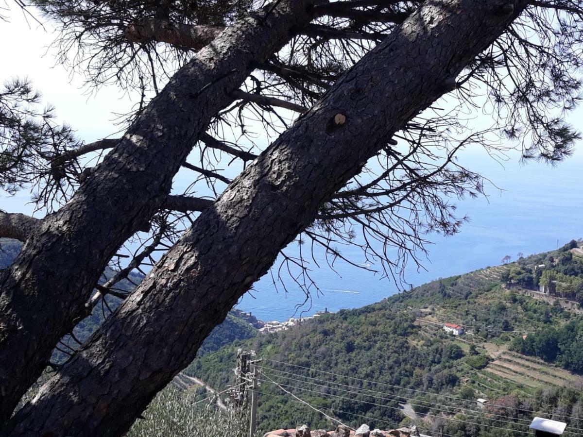 Chez Il Pino Lejlighed Vernazza Eksteriør billede
