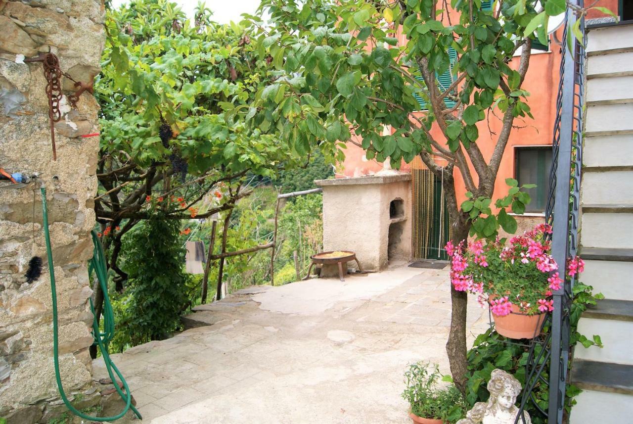 Chez Il Pino Lejlighed Vernazza Eksteriør billede